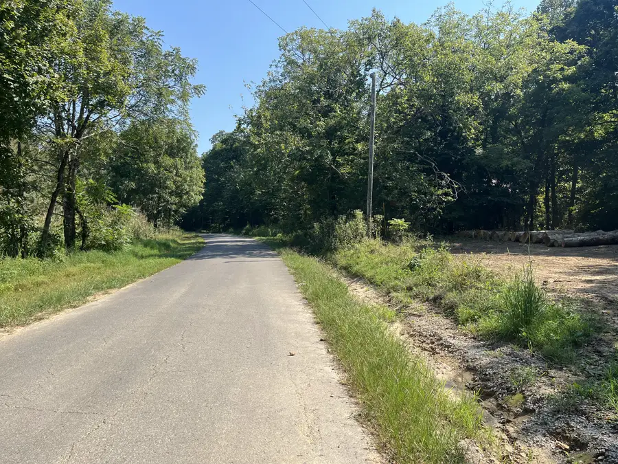 0 Princeton Olney Road, Princeton, KY 42445 - #2