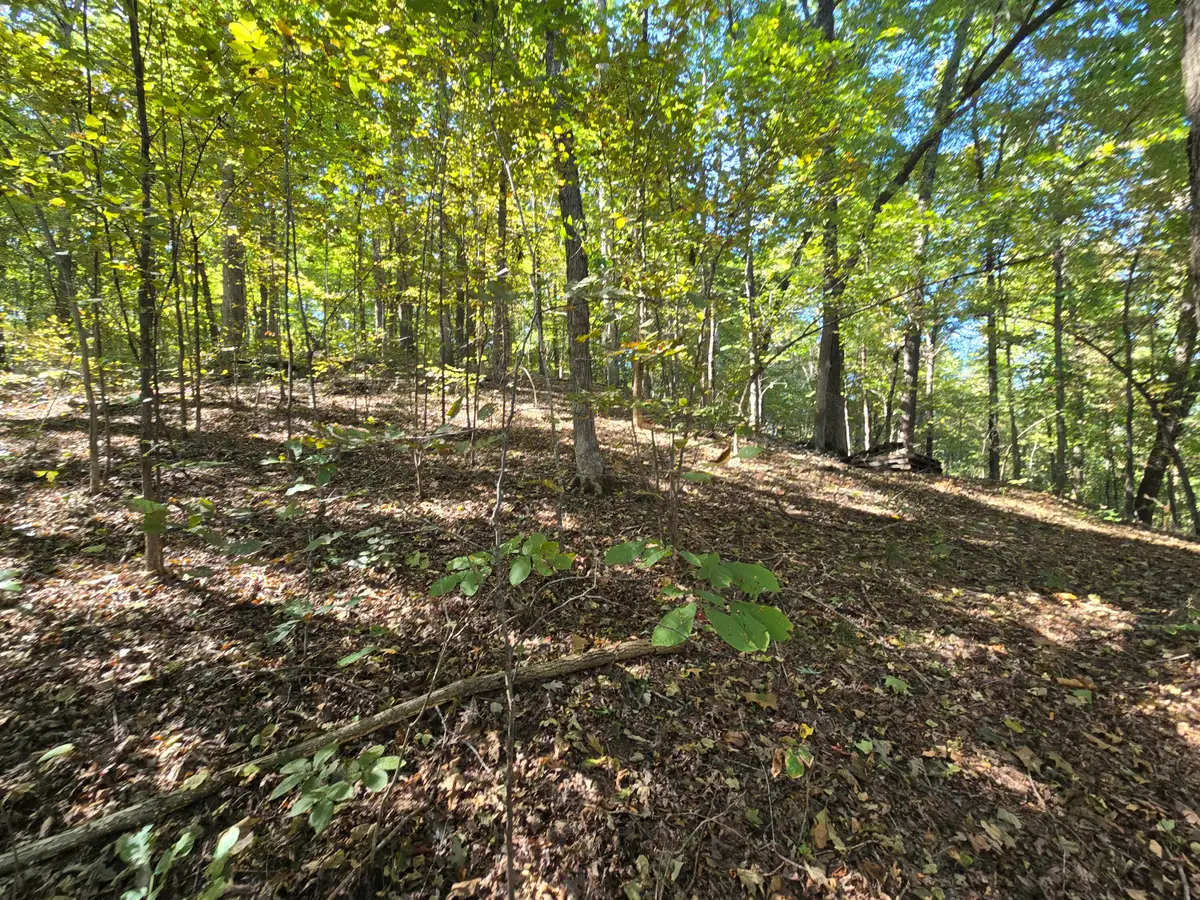 3774 Needmore Road, Princeton, KY 42445 - #1
