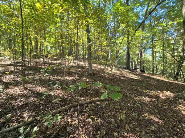 3774 Needmore Road, Princeton, KY 42445
