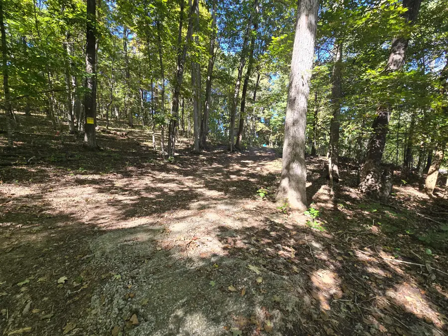 3774 Needmore Road, Princeton, KY 42445 - #2