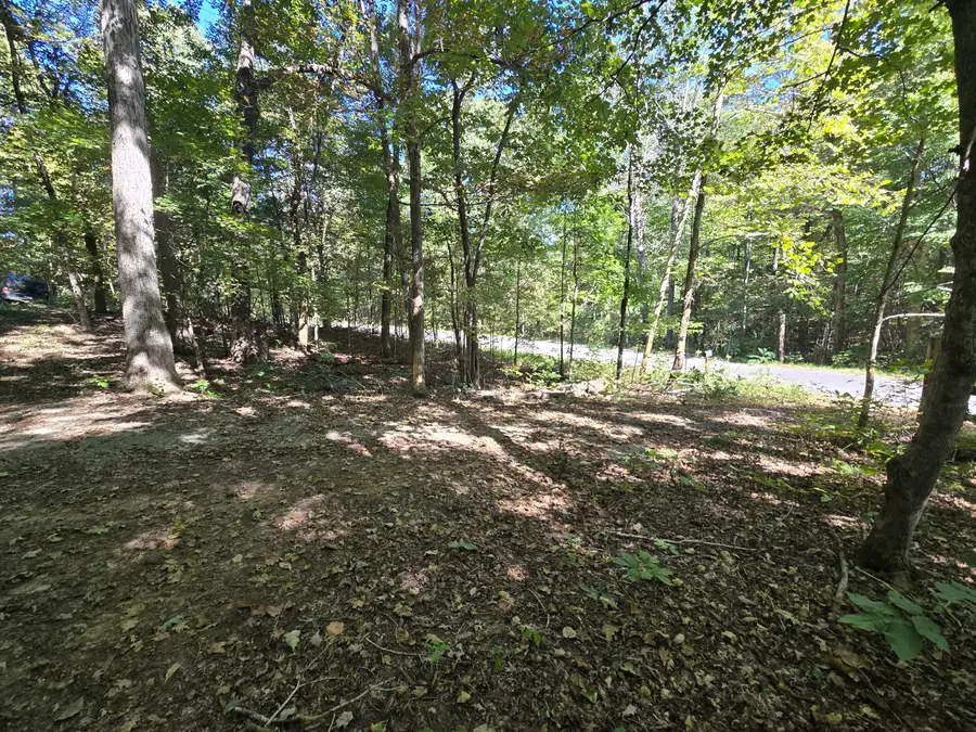 3774 Needmore Road, Princeton, KY 42445 - #3