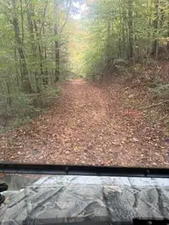 98.54 Acres M/1 Elkhorn Trace Branch, Hyden, KY 41749 - #3