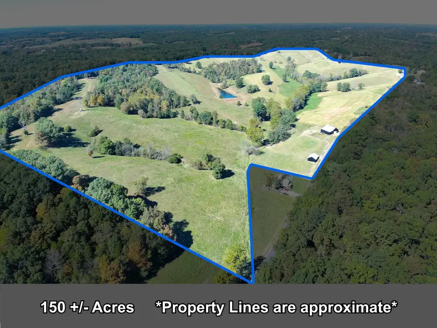 575 Louderback Lane, Mount Olivet, KY 41064 - #3