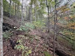 0 Peter Branch Of Wolf Creek #72.87 Acres/ 24 Acres, Hyden, KY 41749 - #2