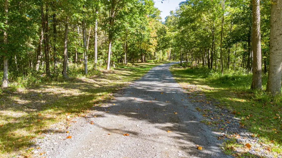 708 Johnson Road, Salem, KY 42078 - #3