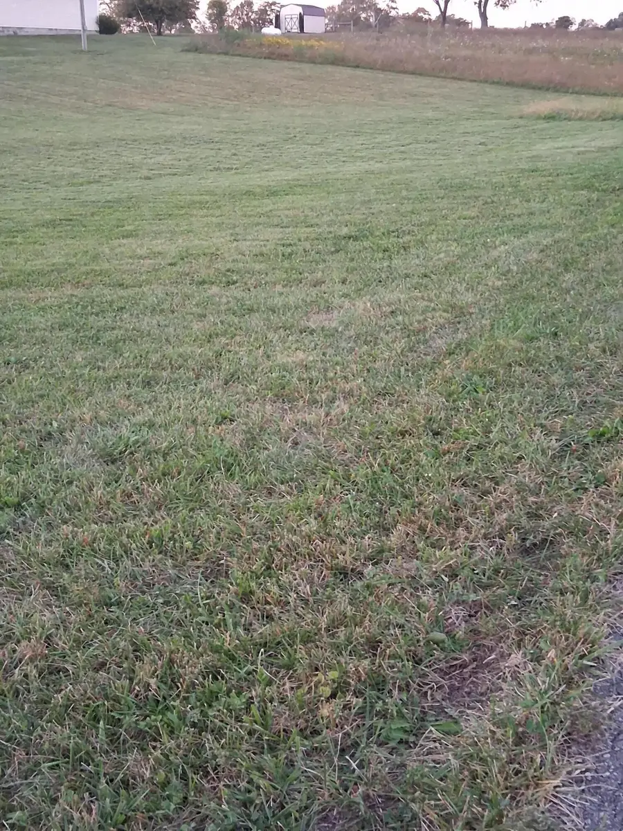 695 Aubrie Boulevard, Flemingsburg, KY 41041 - #3
