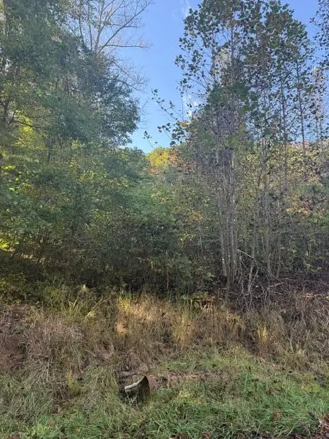 0000 Co Rd 2027, Campton, KY 41301