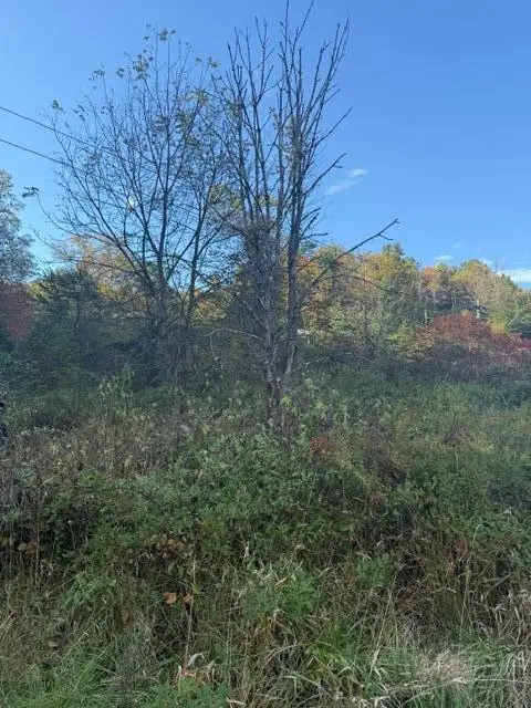 0000 Co Rd 2027, Campton, KY 41301 - #3