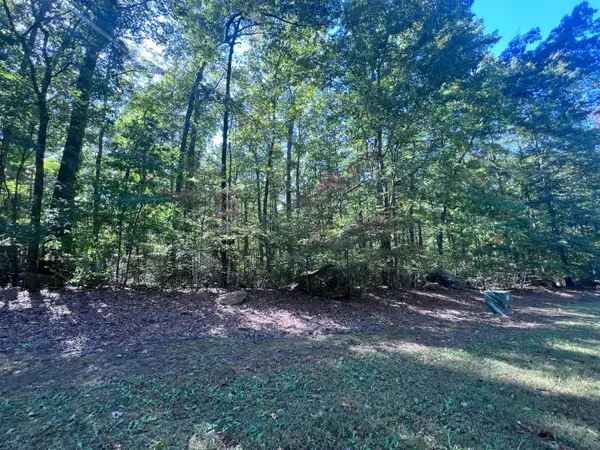 28 Brush Mountain Circle, Miracle, KY 40856