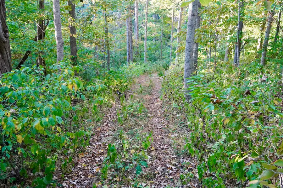88 Persimmon Ridge Road, Carlisle, KY 40311 - #3