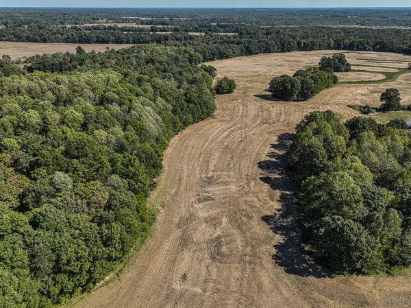 00 Blandville Road, Wickliffe, KY 42087