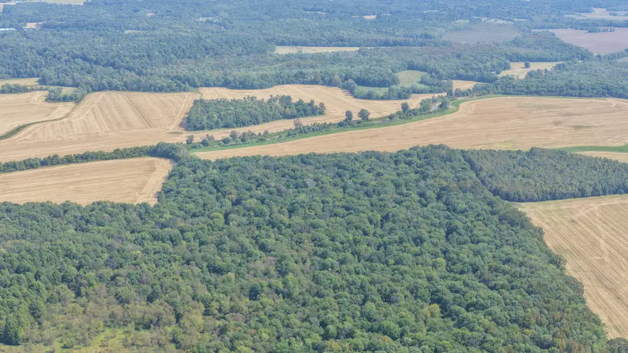 0 State Route 301, Hickory, KY 42051 - #2