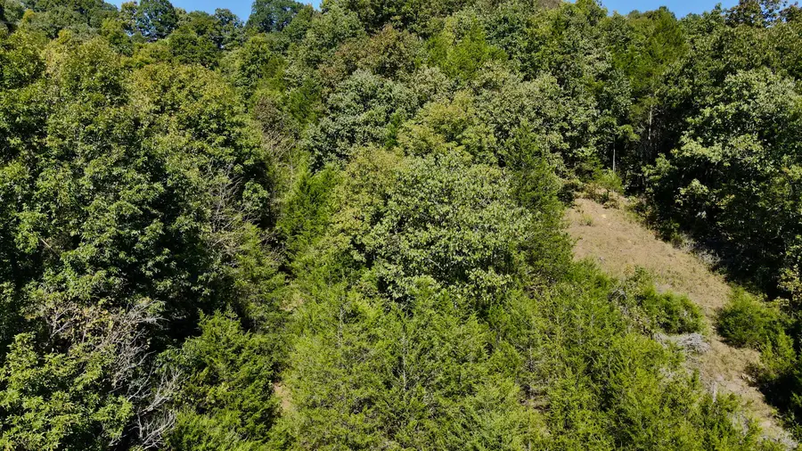 340 Harmony Road, Owenton, KY 40359 - #3