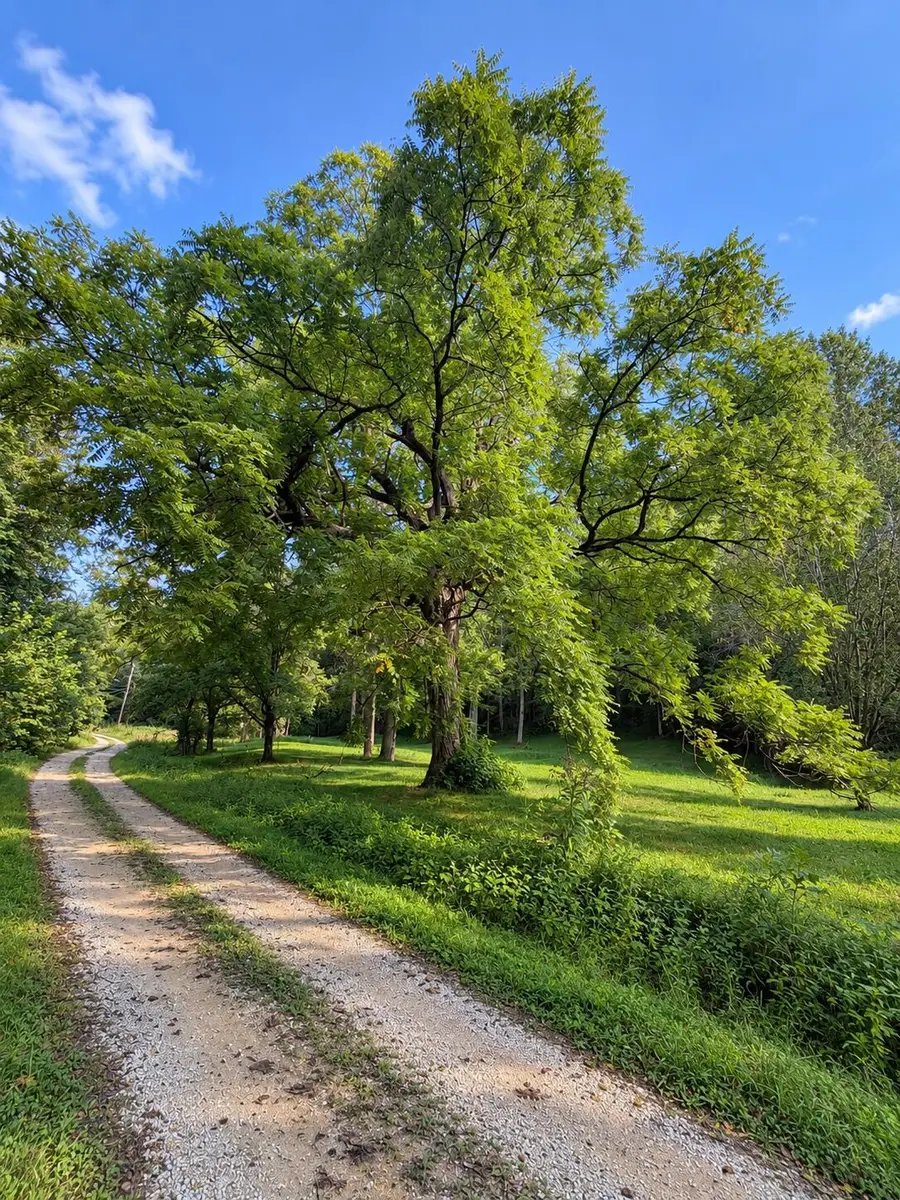 9999 Lone Oak Road, Clay City, KY 40312 - #3