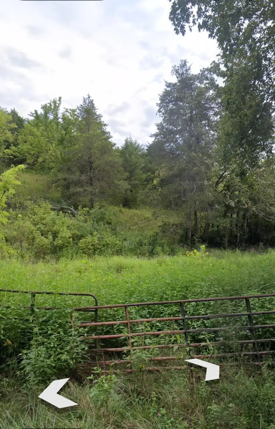 999 Three Lick Road, Harrodsburg, KY 40330 - #2