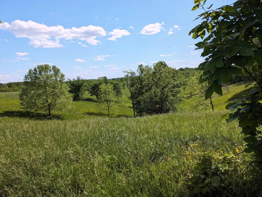 1176 T Burgin Road, Lawrenceburg, KY 40342 - #2