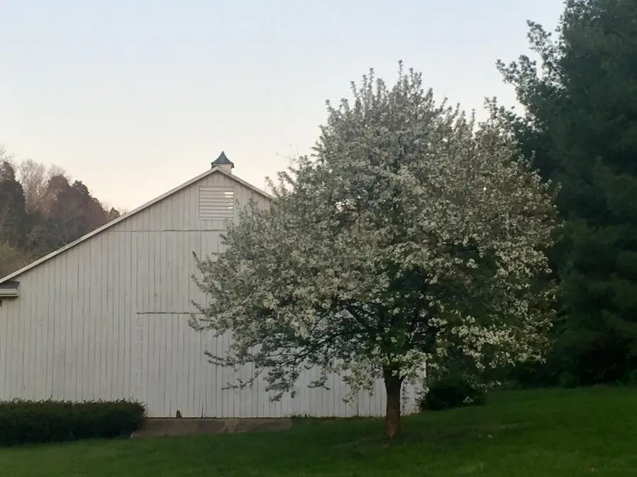 219 Stonehedge Street, Frankfort, KY 40601 - #2