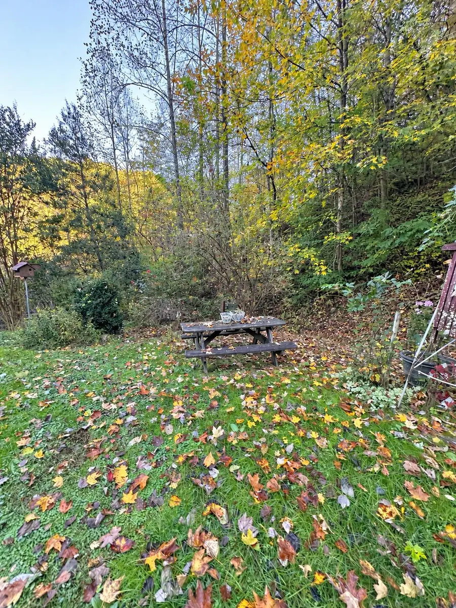 955 Rock Fork Road, Garrett, KY 41630 - #3