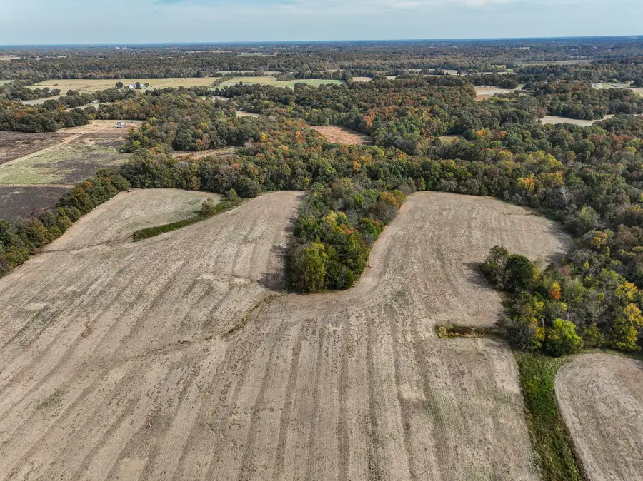 6200 State Hwy 1124, Farmington, KY 42040 - #2