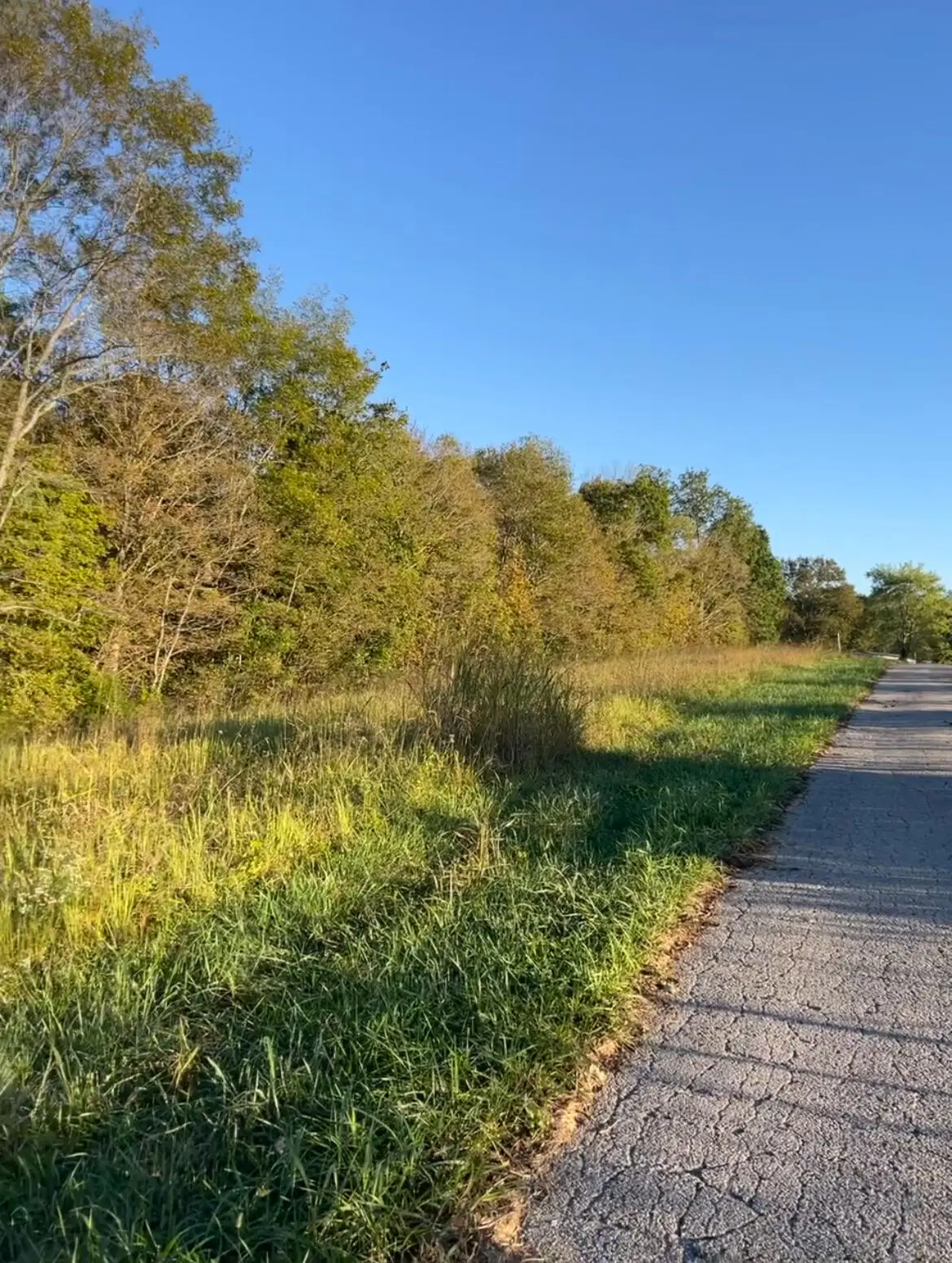1 A  Mint Ridge Road, Carlisle, KY 40311 - #1