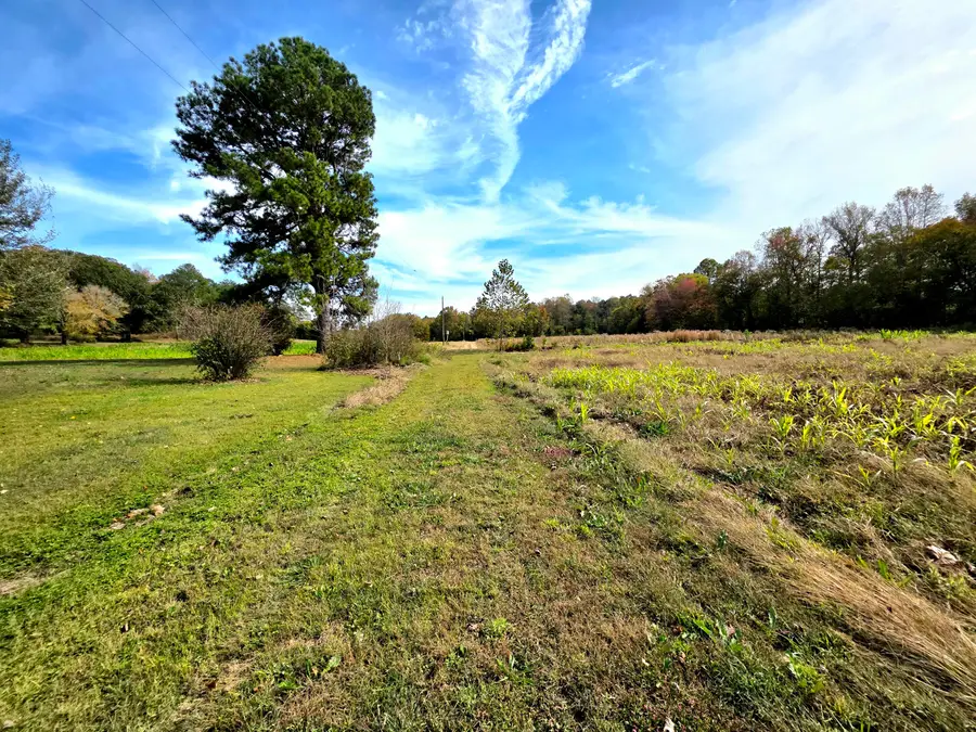 954 Brownie Road, Dexter, KY 42036 - #3