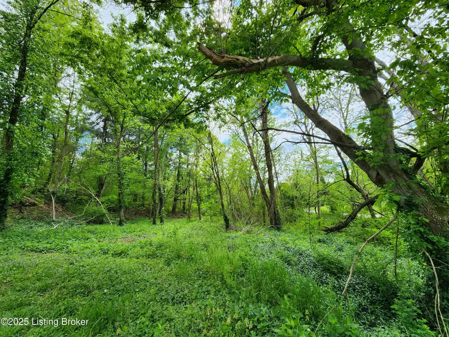 0000 Rineyville Big Springs Rd, Rineyville, KY 40162 - Image #2