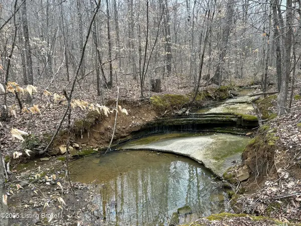 LOT 13&16 Saltsman Dr, Leitchfield, KY 42754