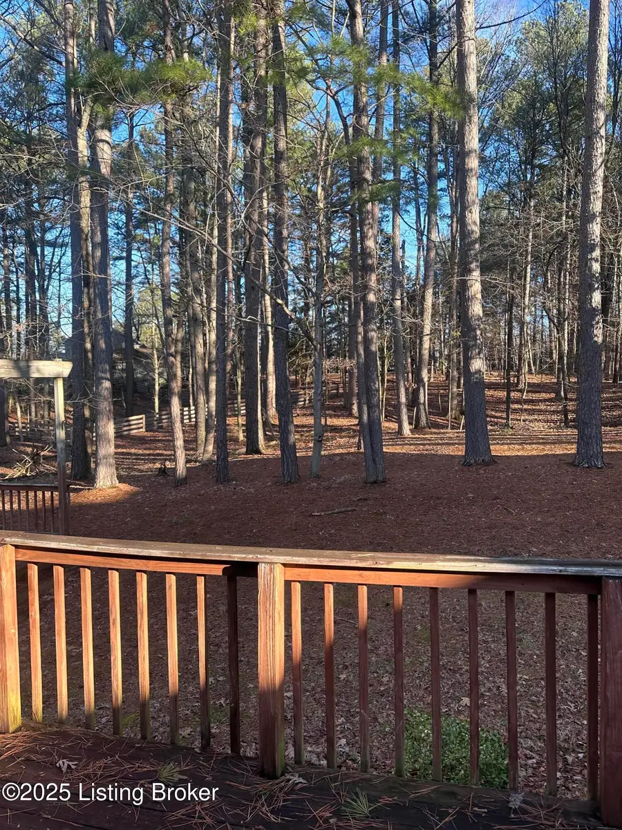 386 Pine Ridge Dr, Brandenburg, KY 40108 - Image #3