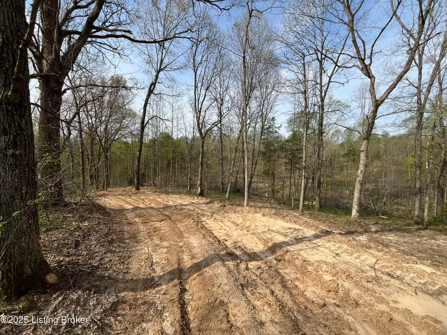 0 Gaddie Cottrell Road, Bonnieville, KY 42713 - Image #3