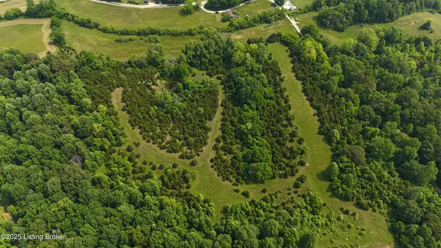 0 Locust Grove Rd, Bonnieville, KY 42713 - Image #2