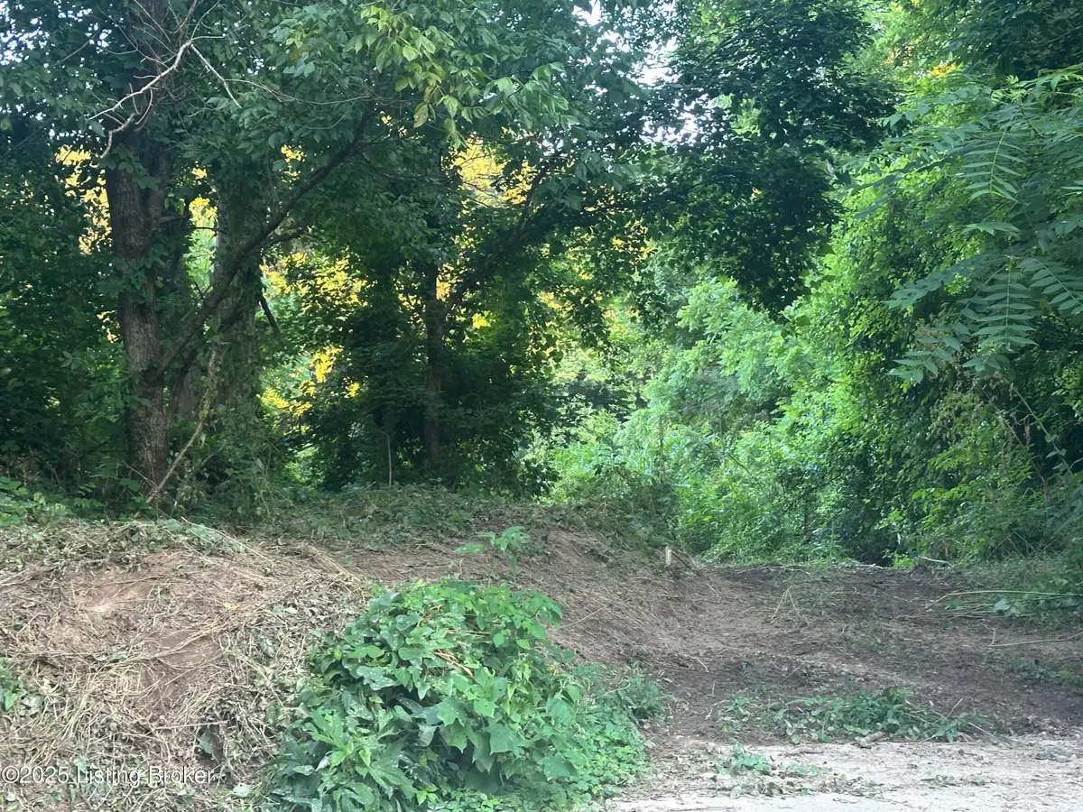 0 Highway 49, Bradfordsville, KY 40009 - Image #1