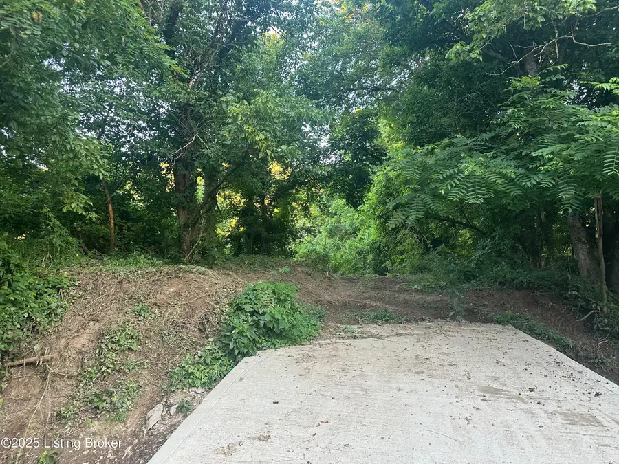 0 Highway 49, Bradfordsville, KY 40009 - Image #2