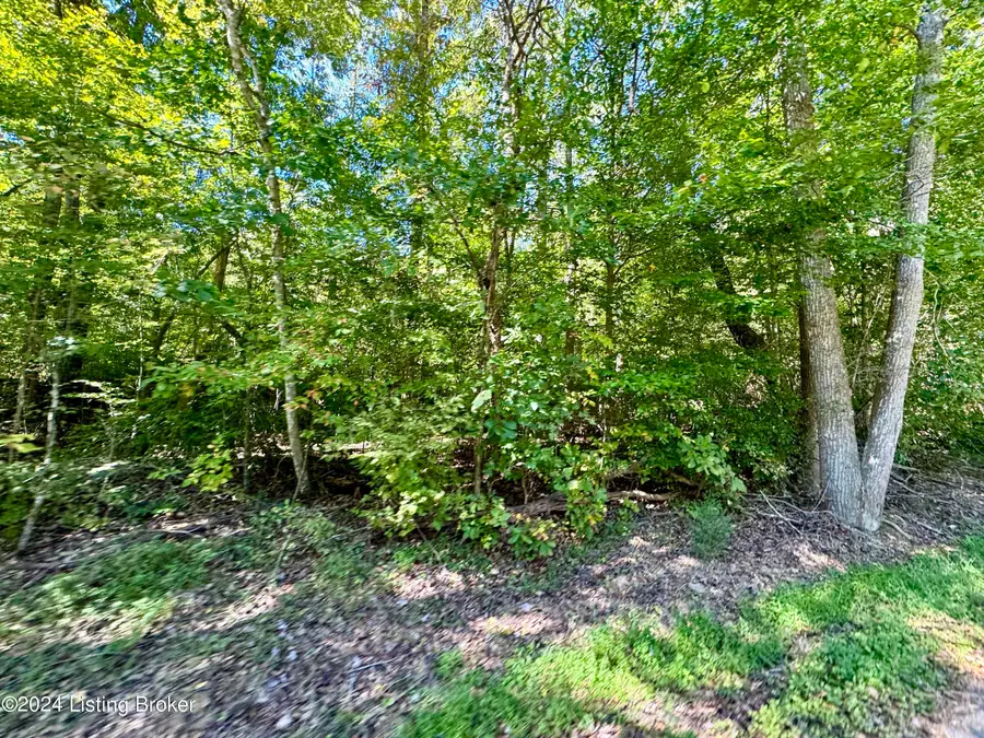 2346 Sulphur Lick Rd, New Hope, KY 40052 - #3