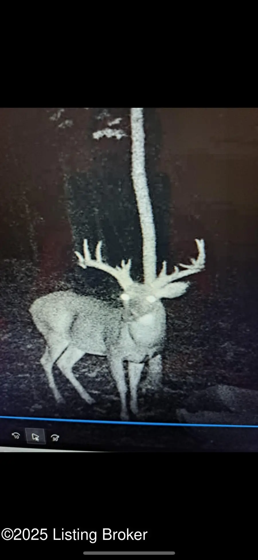 #3