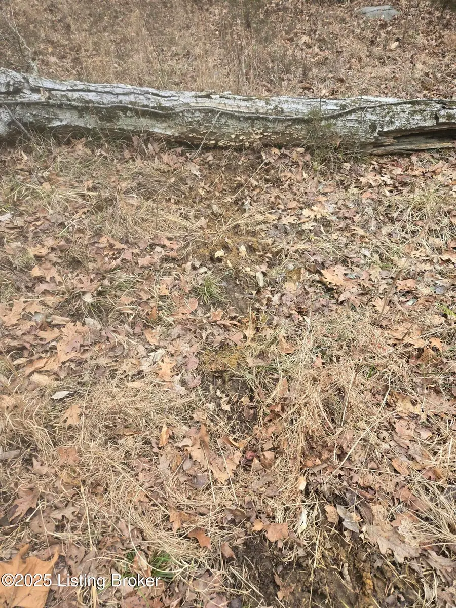 170 AC Wand Cemetery Road, Bowling Green, KY 42101 - Image #3