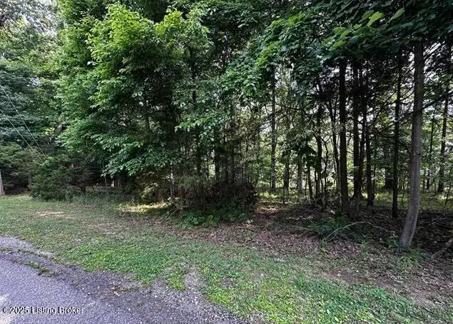 213 Bobwhite Rd, Brandenburg, KY 40108 - Image #3