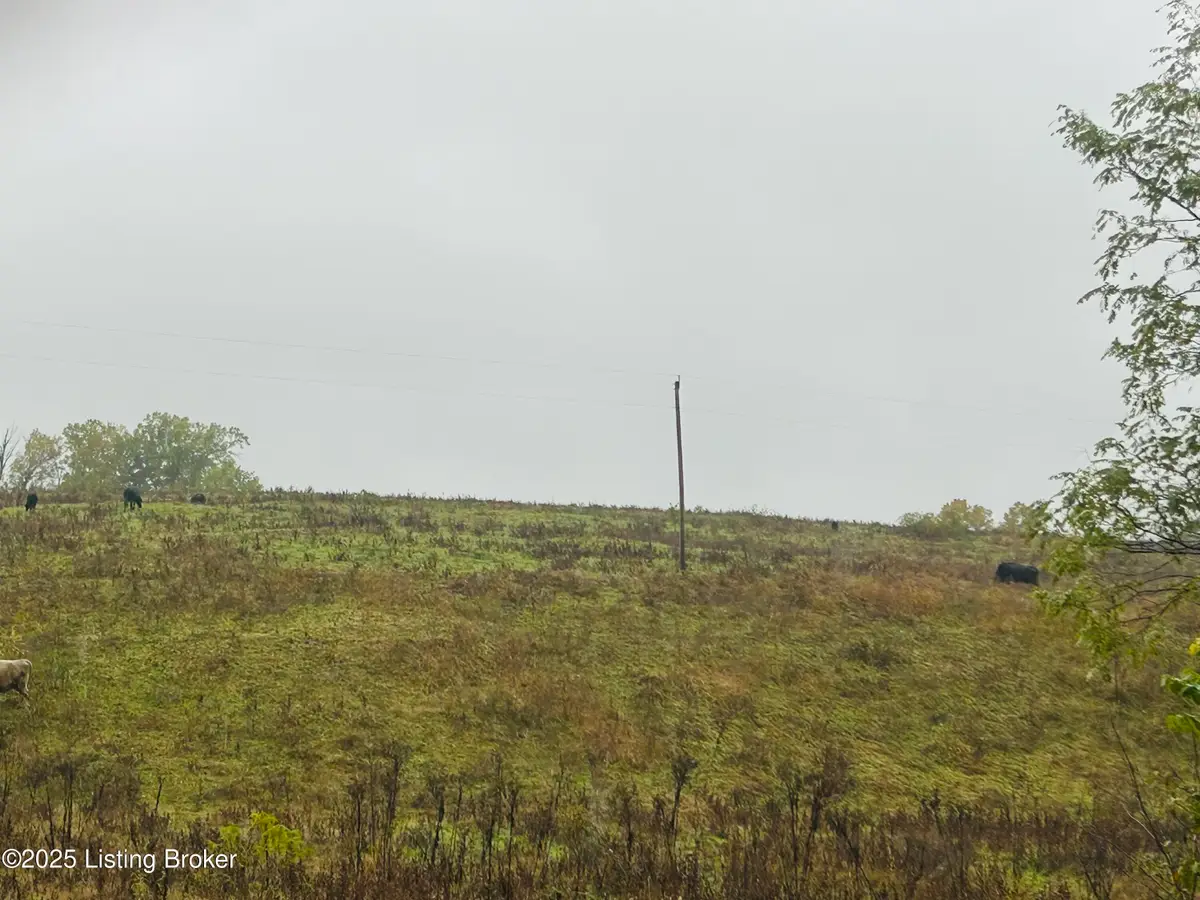 Tract 2&3 Bearwallow Rd, Springfield, KY 40069 - Image #1