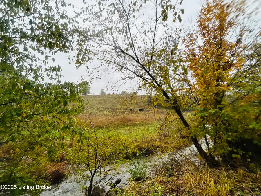 Tract 2&3 Bearwallow Rd, Springfield, KY 40069 - Image #2