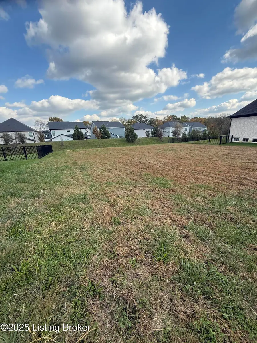 3317 Catalpa Farms Dr, Fisherville, KY 40023 - Image #3