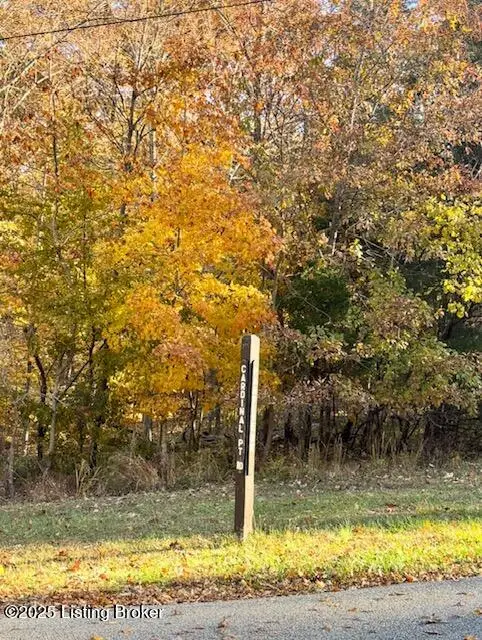 Lot 508 Cardinal Point Rd, Brandenburg, KY 40108 - Image #3