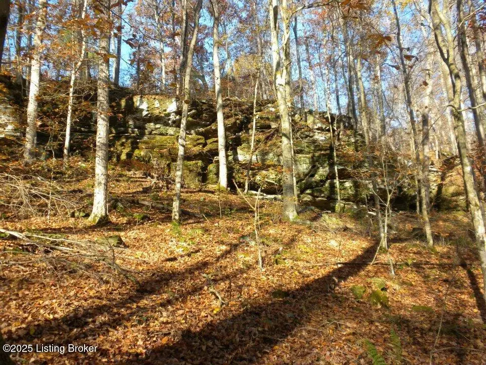 2409 Benleo Rd, Bowling Green, KY 42101 - Image #1