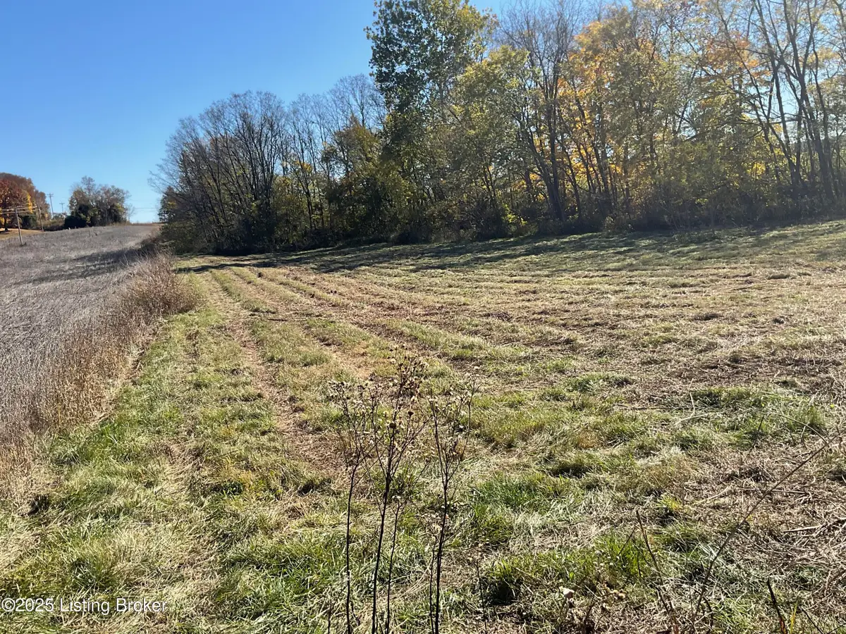 Lot #4 Hwy 60, Guston, KY 40142 - Image #1