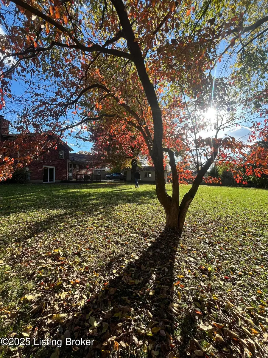 7500 Zephyr Ct, Louisville, KY 40220 - Image #3