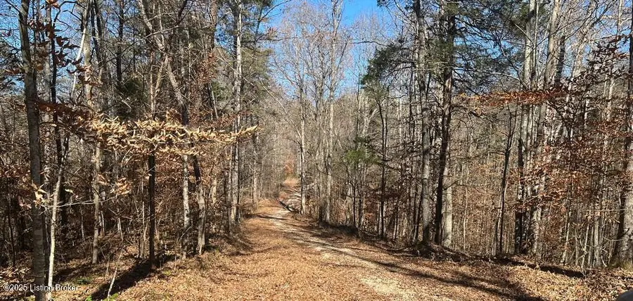 L32 Ted Logsdon Rd, Clarkson, KY 42726 - Image #2