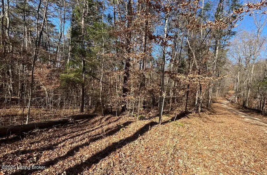 L32 Ted Logsdon Rd, Clarkson, KY 42726 - Image #3