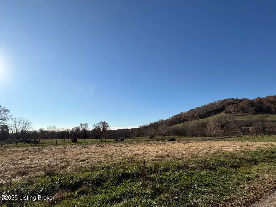 0 Hwy 467, Worthville, KY 41098 - Image #3