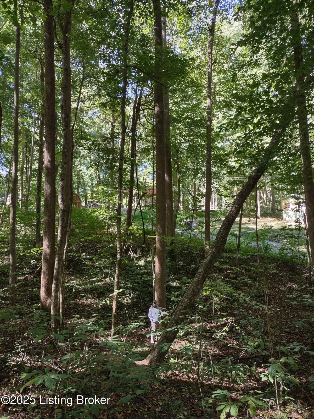 71 Bullfrog Trail, Scottsville, KY 42164 - Image #1