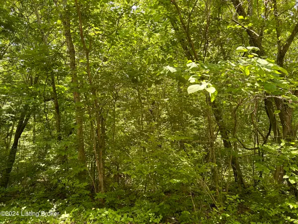 272, 277 Hills Pl, New Haven, KY 40051