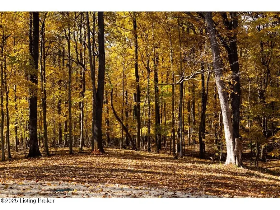 1304 Burns Rd, Radcliff, KY 40160 - Image #3