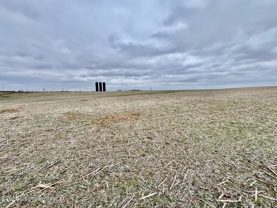 290 Mattingly Ln, Springfield, KY 40069 - Image #2